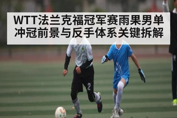 WTT法兰克福冠军赛雨果男单冲冠前景与反手体系关键拆解